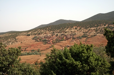 An Oasis in the Desert: Morocco’s Argan Oil